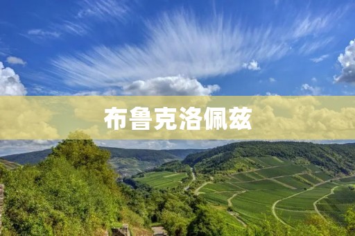 布鲁克洛佩兹：从美国篮球名将到商业帝王