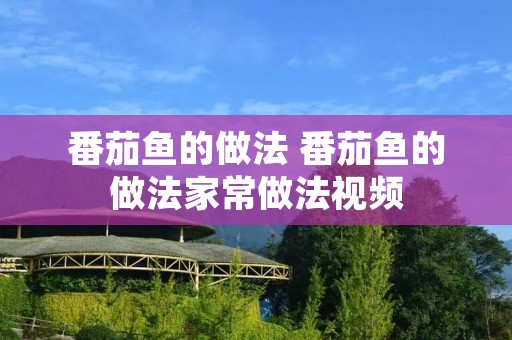 番茄鱼的做法 番茄鱼的做法家常做法视频