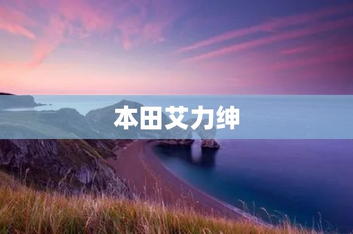 本田艾力绅:舒适、安全、实用的高档轿车 本田艾力绅:舒适、安全、实用的高档轿车