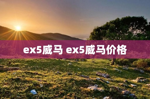 ex5威马 ex5威马价格 ex5威马 ex5威马价格
