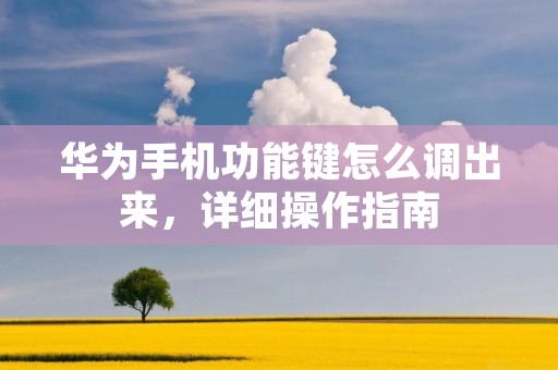 华为手机功能键怎么调出来,详细操作指南