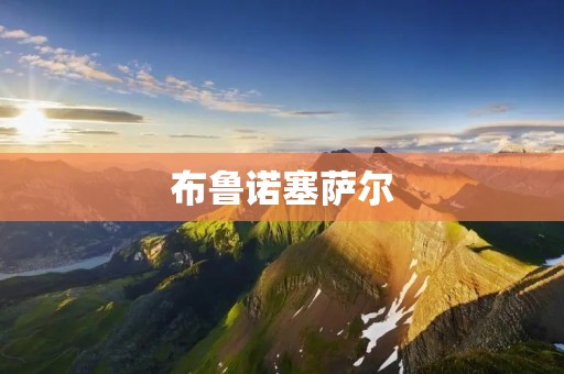布鲁诺塞萨尔：一位才华横溢的音乐家
