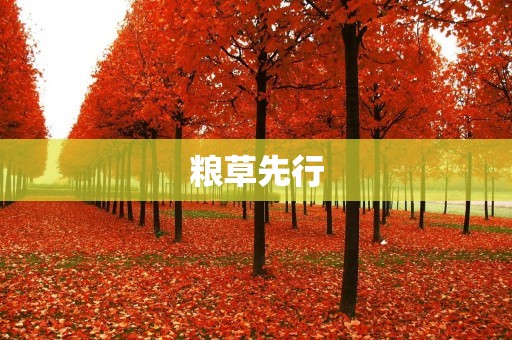 粮草先行:保障国家安全与人民福祉的重要举措