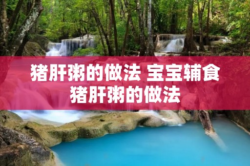 猪肝粥的做法 宝宝辅食猪肝粥的做法