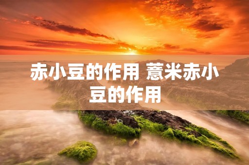 赤小豆的作用 薏米赤小豆的作用