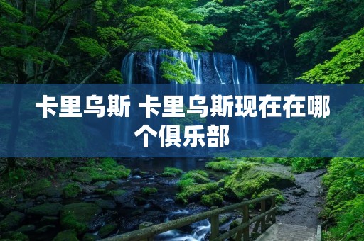 卡里乌斯 卡里乌斯现在在哪个俱乐部 卡里乌斯 卡里乌斯现在在哪个俱乐部
