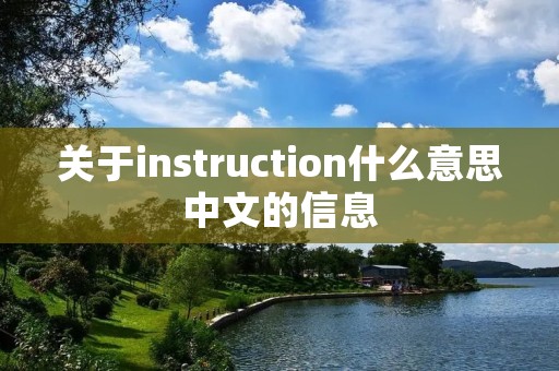 关于instruction什么意思中文的信息