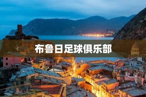 布鲁日足球俱乐部：欧洲足坛的新生力量