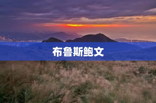 布鲁斯鲍文：美国历史上的重要人物