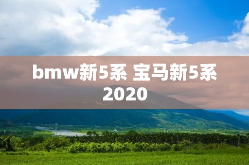 bmw新5系 宝马新5系2020