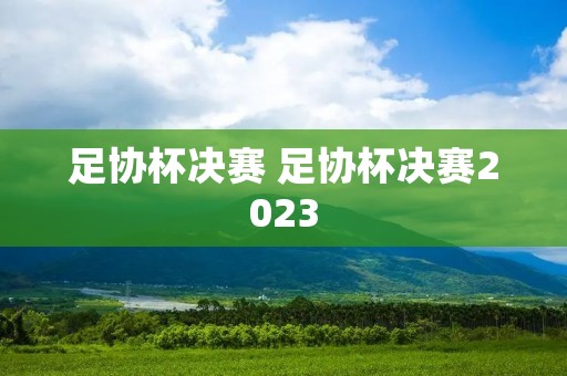 足协杯决赛 足协杯决赛2023 足协杯决赛 足协杯决赛2023