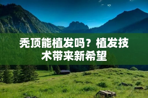 秃顶能植发吗？植发技术带来新希望