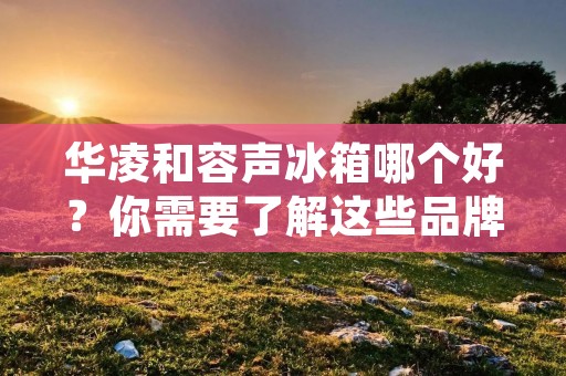 华凌和容声冰箱哪个好？你需要了解这些品牌的特点和优缺点，才能做出正确的选择。本文将为您分析华凌和容声冰箱的差异，以帮助您做出最佳决策。