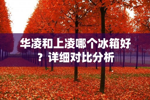 华凌和上凌哪个冰箱好?详细对比分析 华凌和上凌哪个冰箱好?详细对比分析