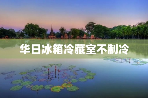 华日冰箱冷藏室不制冷:原因和解决方法 华日冰箱冷藏室不制冷:原因和解决方法