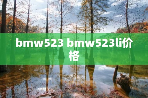 bmw523 bmw523li价格 bmw523 bmw523li价格