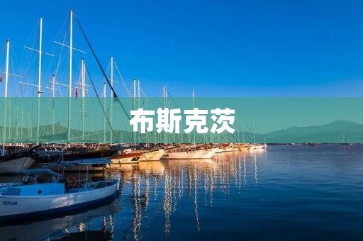布斯克茨:向世界展现的生态美学之都 布斯克茨:向世界展现的生态美学之都