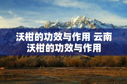 沃柑的功效与作用 云南沃柑的功效与作用