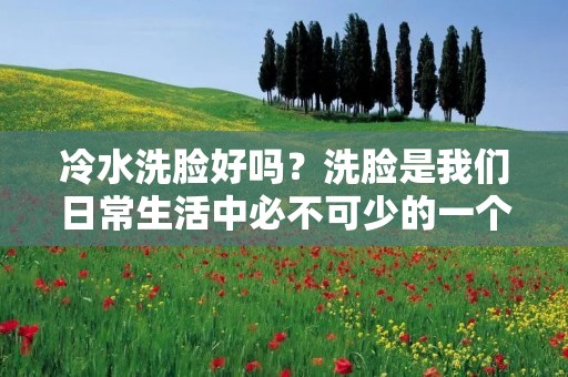 冷水洗脸好吗？洗脸是我们日常生活中必不可少的一个环节，无论是早晨起床还是晚上睡觉前，都需要洗脸。而洗脸的方法也有很多种，其中最常见的就是用温水洗脸。但是，有些人认为冷水洗脸会更好，那么冷水洗脸究竟好不好呢？下面我们就来详细了解一下。