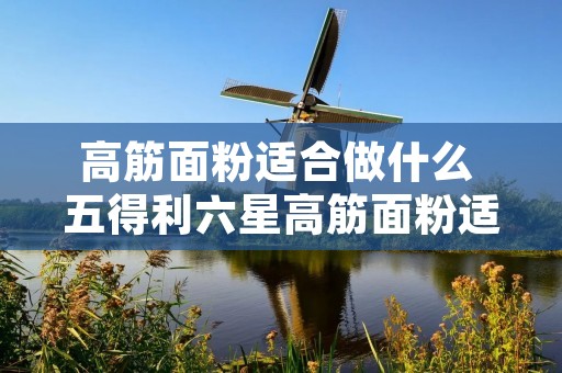 高筋面粉适合做什么 五得利六星高筋面粉适合做什么