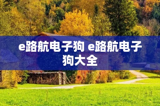 e路航电子狗 e路航电子狗大全