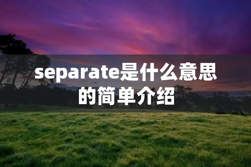 separate是什么意思的简单介绍 separate是什么意思的简单介绍