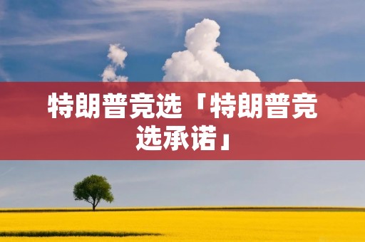 特朗普竞选「特朗普竞选承诺」
