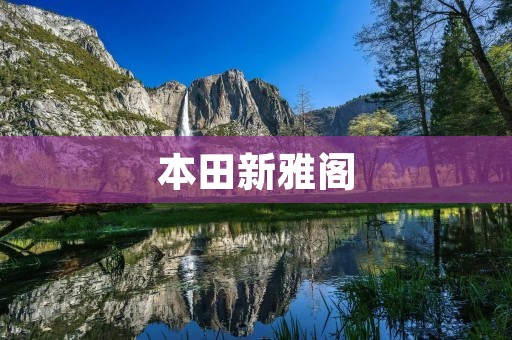 本田新雅阁：颠覆传统豪华车的全新力作