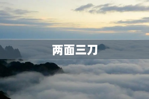两面三刀：探究人际关系中的欺骗