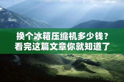 换个冰箱压缩机多少钱?看完这篇文章你就知道了! 换个冰箱压缩机多少钱?看完这篇文章你就知道了!