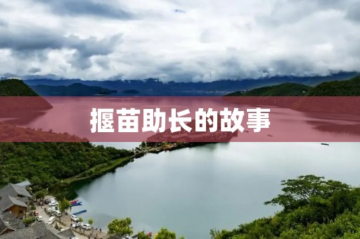 揠苗助长的故事:勿欺小草之功