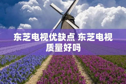 东芝电视优缺点 东芝电视质量好吗