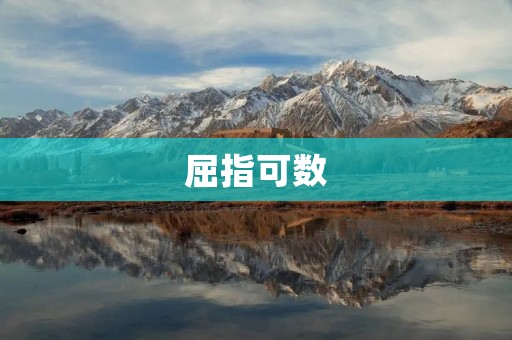 屈指可数:少数精英的成功之路