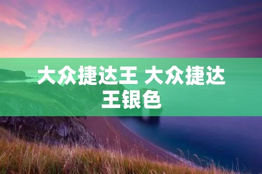 大众捷达王 大众捷达王银色 大众捷达王 大众捷达王银色