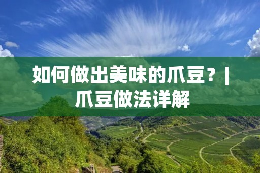 如何做出美味的爪豆？| 爪豆做法详解
