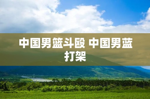 中国男篮斗殴 中国男蓝打架
