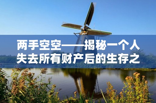 两手空空——揭秘一个人失去所有财产后的生存之道