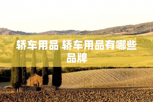 轿车用品 轿车用品有哪些品牌