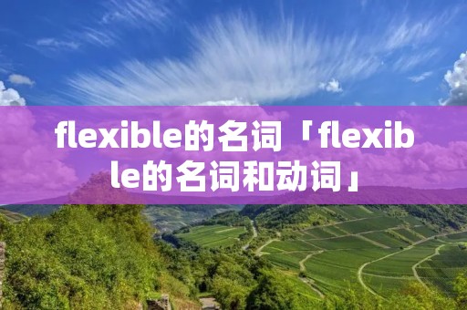 flexible的名词「flexible的名词和动词」