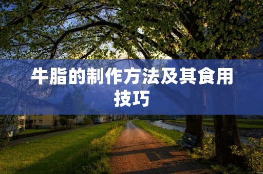 牛脂的制作方法及其食用技巧