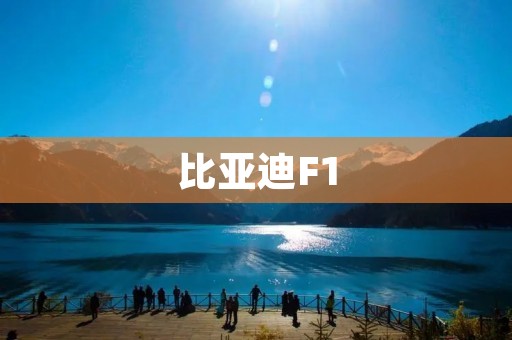 比亚迪F1:一款革命性的电动赛车 比亚迪F1:一款革命性的电动赛车