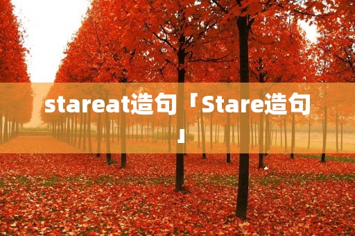 stareat造句「Stare造句」