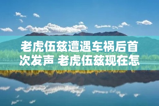 老虎伍兹遭遇车祸后首次发声 老虎伍兹现在怎么样了