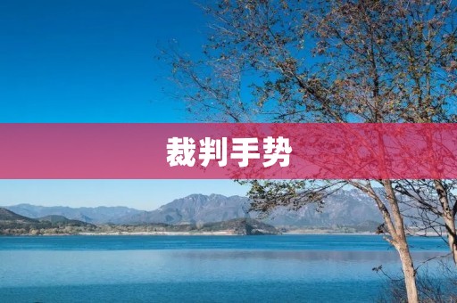 裁判手势:解读比赛现场的语言 裁判手势:解读比赛现场的语言