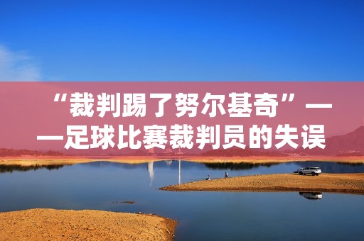 “裁判踢了努尔基奇”——足球比赛裁判员的失误引起的争议 “裁判踢了努尔基奇”——足球比赛裁判员的失误引起的争议