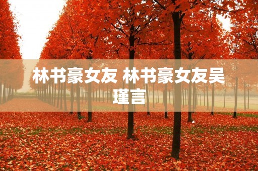 林书豪女友 林书豪女友吴瑾言 林书豪女友 林书豪女友吴瑾言