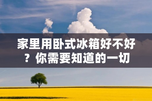 家里用卧式冰箱好不好？你需要知道的一切