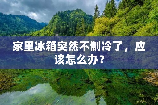 家里冰箱突然不制冷了，应该怎么办？