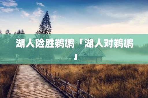 湖人险胜鹈鹕「湖人对鹈鹕」