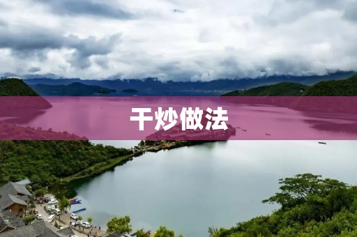 干炒做法：让食材更美味